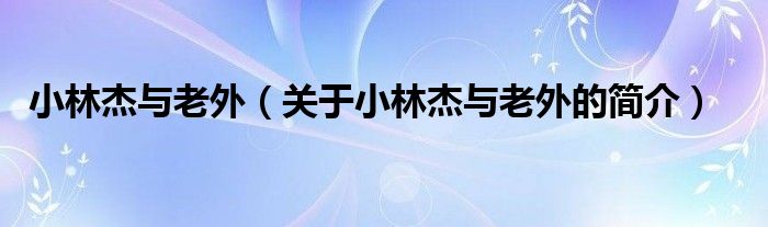 小林杰與老外（關(guān)于小林杰與老外的簡(jiǎn)介）