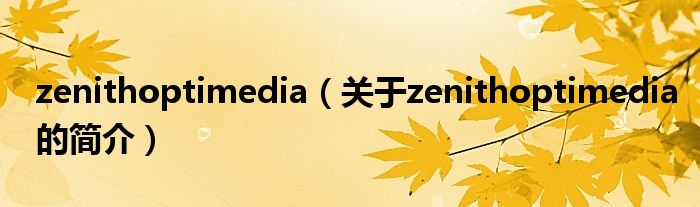 zenithoptimedia（關(guān)于zenithoptimedia的簡介）