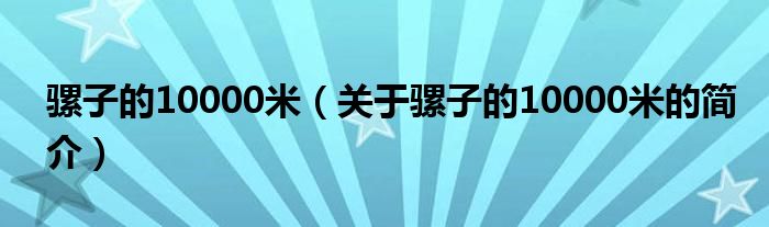 騾子的10000米（關于騾子的10000米的簡介）