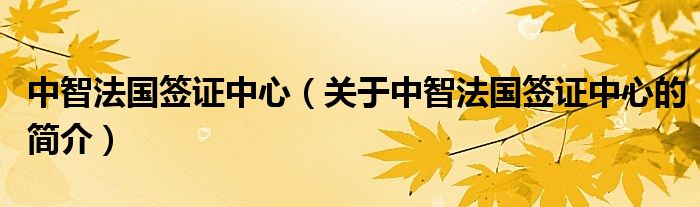 中智法國簽證中心（關(guān)于中智法國簽證中心的簡介）