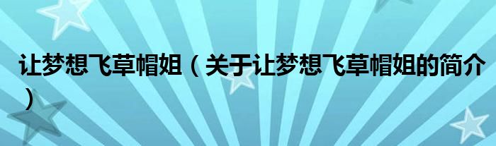 讓夢想飛草帽姐（關(guān)于讓夢想飛草帽姐的簡介）