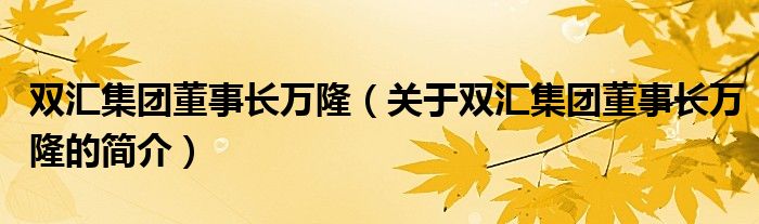 雙匯集團(tuán)董事長萬隆（關(guān)于雙匯集團(tuán)董事長萬隆的簡介）