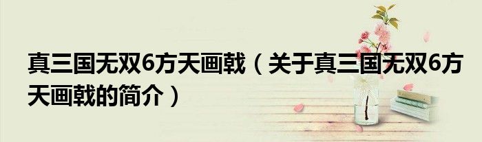 真三國(guó)無(wú)雙6方天畫戟（關(guān)于真三國(guó)無(wú)雙6方天畫戟的簡(jiǎn)介）