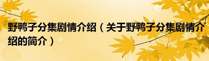 野鴨子分集劇情介紹（關(guān)于野鴨子分集劇情介紹的簡介）