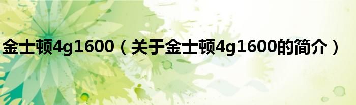 金士頓4g1600（關于金士頓4g1600的簡介）