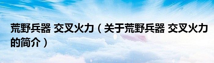 荒野兵器 交叉火力（關于荒野兵器 交叉火力的簡介）