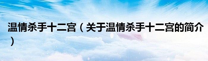 溫情殺手十二宮（關(guān)于溫情殺手十二宮的簡介）