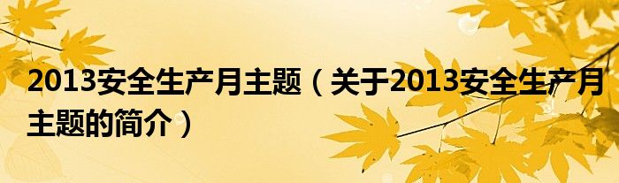 2013安全生產(chǎn)月主題（關(guān)于2013安全生產(chǎn)月主題的簡介）