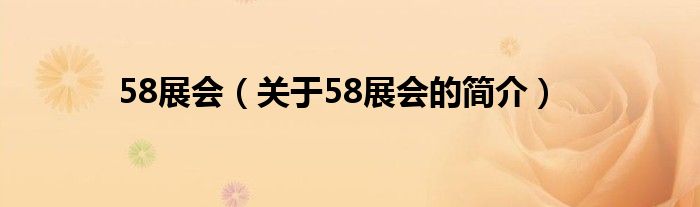 58展會（關于58展會的簡介）