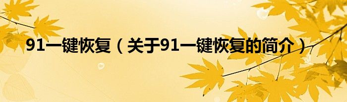 91一鍵恢復(fù)（關(guān)于91一鍵恢復(fù)的簡介）