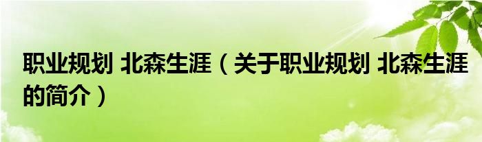 職業(yè)規(guī)劃 北森生涯（關(guān)于職業(yè)規(guī)劃 北森生涯的簡介）