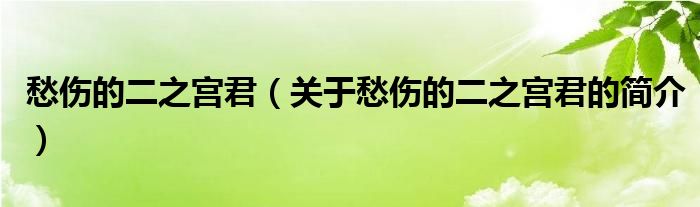 愁傷的二之宮君（關(guān)于愁傷的二之宮君的簡介）