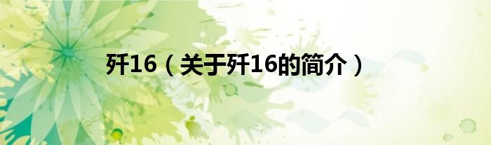 殲16（關(guān)于殲16的簡介）