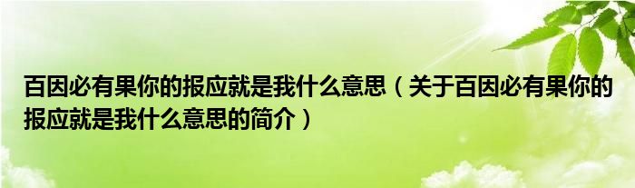 百因必有果你的報(bào)應(yīng)就是我什么意思（關(guān)于百因必有果你的報(bào)應(yīng)就是我什么意思的簡介）