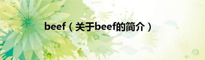 beef（關(guān)于beef的簡介）