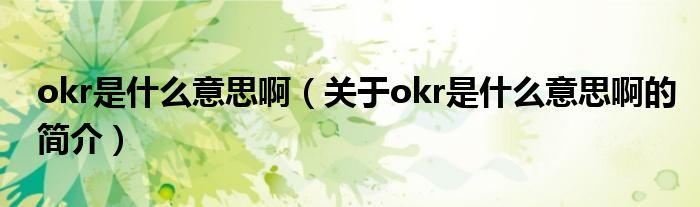 okr是什么意思?。P(guān)于okr是什么意思啊的簡介）