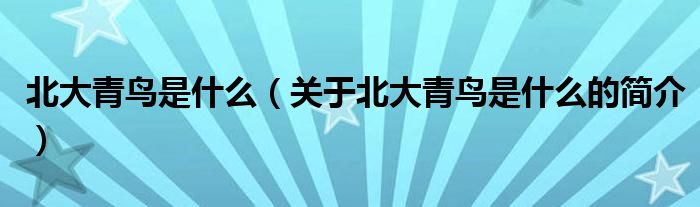 北大青鳥是什么（關(guān)于北大青鳥是什么的簡介）