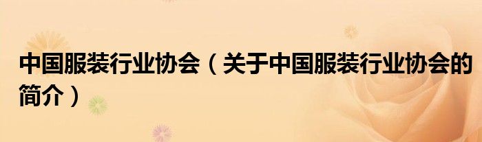 中國服裝行業(yè)協(xié)會（關(guān)于中國服裝行業(yè)協(xié)會的簡介）