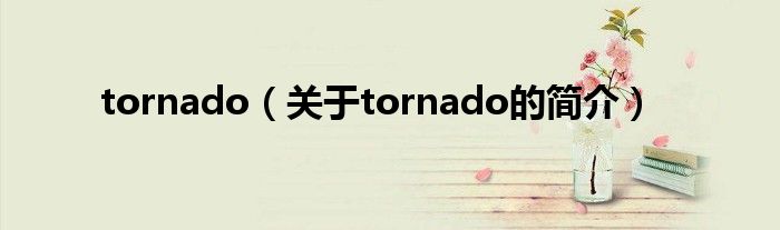 tornado（關(guān)于tornado的簡(jiǎn)介）