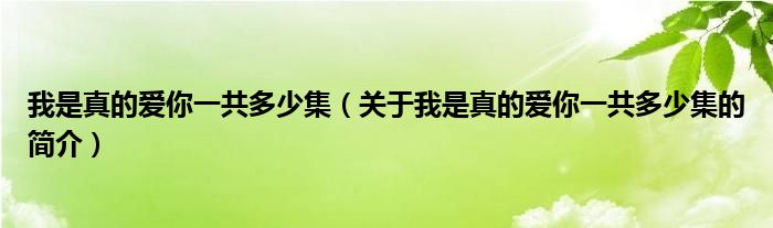 我是真的愛你一共多少集（關(guān)于我是真的愛你一共多少集的簡(jiǎn)介）