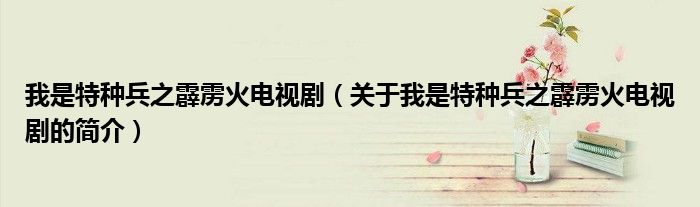 我是特種兵之霹靂火電視?。P于我是特種兵之霹靂火電視劇的簡介）