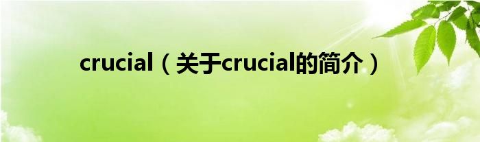 crucial（關(guān)于crucial的簡介）