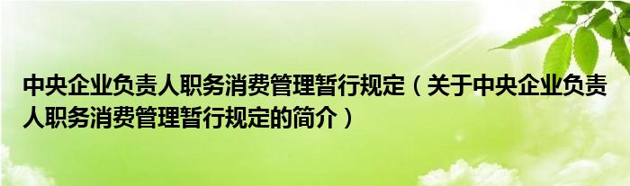 中央企業(yè)負(fù)責(zé)人職務(wù)消費(fèi)管理暫行規(guī)定（關(guān)于中央企業(yè)負(fù)責(zé)人職務(wù)消費(fèi)管理暫行規(guī)定的簡介）