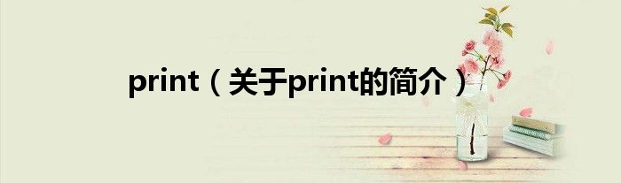 print（關(guān)于print的簡(jiǎn)介）