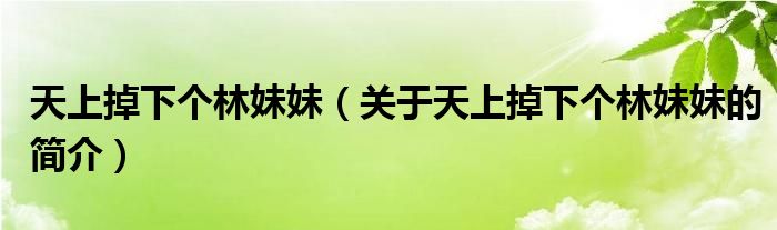 天上掉下個(gè)林妹妹（關(guān)于天上掉下個(gè)林妹妹的簡(jiǎn)介）