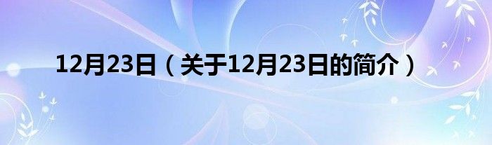 12月23日（關(guān)于12月23日的簡介）