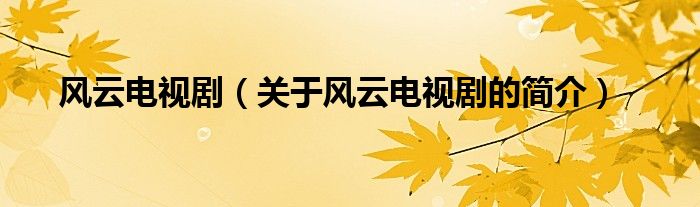 風(fēng)云電視?。P(guān)于風(fēng)云電視劇的簡(jiǎn)介）