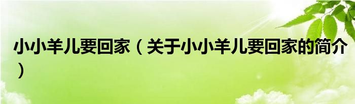 小小羊兒要回家（關(guān)于小小羊兒要回家的簡(jiǎn)介）