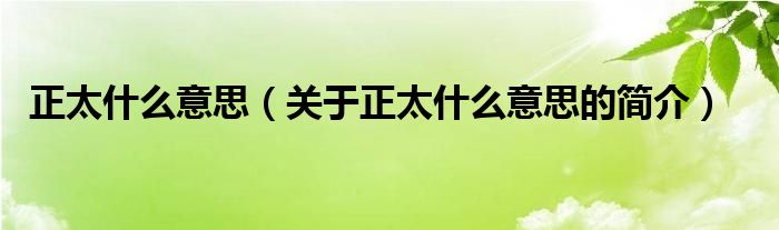 正太什么意思（關(guān)于正太什么意思的簡(jiǎn)介）