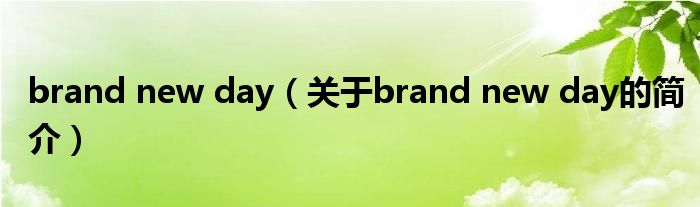 brand new day（關(guān)于brand new day的簡介）