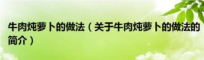 牛肉燉蘿卜的做法（關(guān)于牛肉燉蘿卜的做法的簡(jiǎn)介）