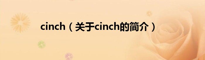 cinch（關(guān)于cinch的簡(jiǎn)介）