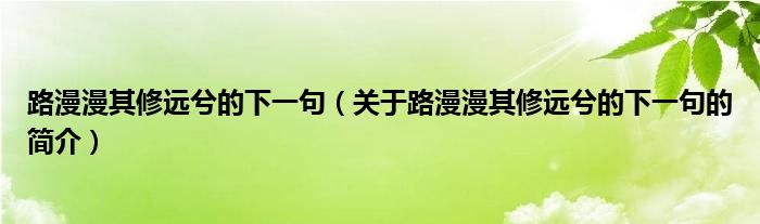 路漫漫其修遠(yuǎn)兮的下一句（關(guān)于路漫漫其修遠(yuǎn)兮的下一句的簡介）