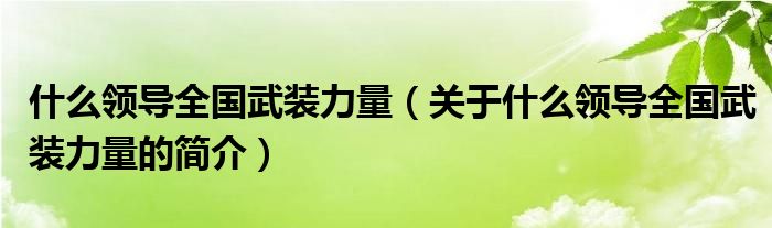 什么領導全國武裝力量（關于什么領導全國武裝力量的簡介）