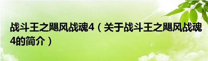 戰(zhàn)斗王之颶風戰(zhàn)魂4（關于戰(zhàn)斗王之颶風戰(zhàn)魂4的簡介）