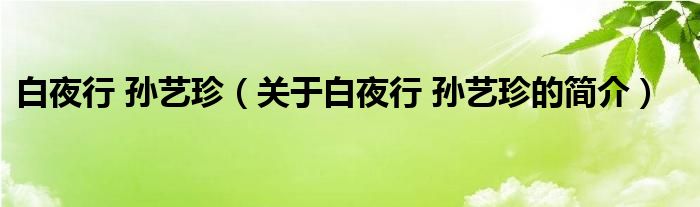 白夜行 孫藝珍（關于白夜行 孫藝珍的簡介）