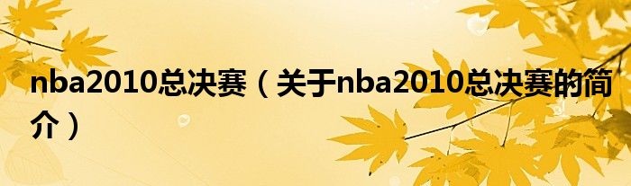 nba2010總決賽（關(guān)于nba2010總決賽的簡(jiǎn)介）