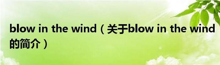 blow in the wind（關(guān)于blow in the wind的簡(jiǎn)介）