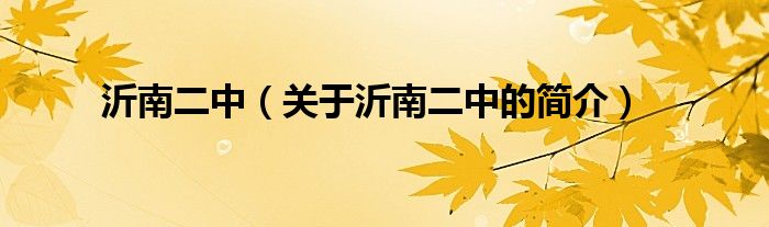 沂南二中（關(guān)于沂南二中的簡(jiǎn)介）