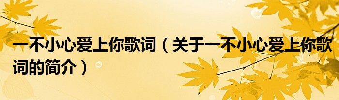 一不小心愛上你歌詞（關于一不小心愛上你歌詞的簡介）