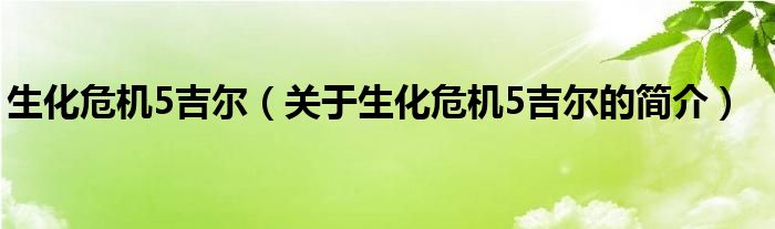 生化危機(jī)5吉爾（關(guān)于生化危機(jī)5吉爾的簡(jiǎn)介）