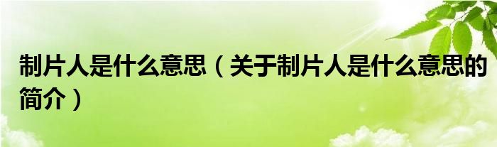 制片人是什么意思（關于制片人是什么意思的簡介）