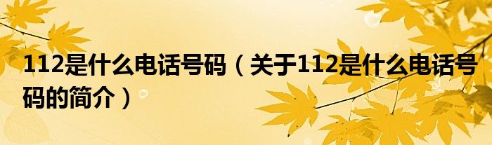 112是什么電話號碼（關于112是什么電話號碼的簡介）