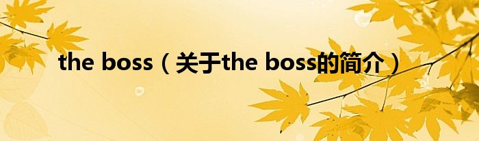 the boss（關(guān)于the boss的簡介）