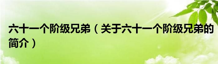 六十一個(gè)階級兄弟（關(guān)于六十一個(gè)階級兄弟的簡介）