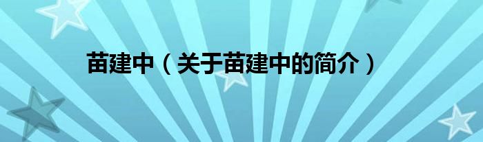 苗建中（關(guān)于苗建中的簡(jiǎn)介）